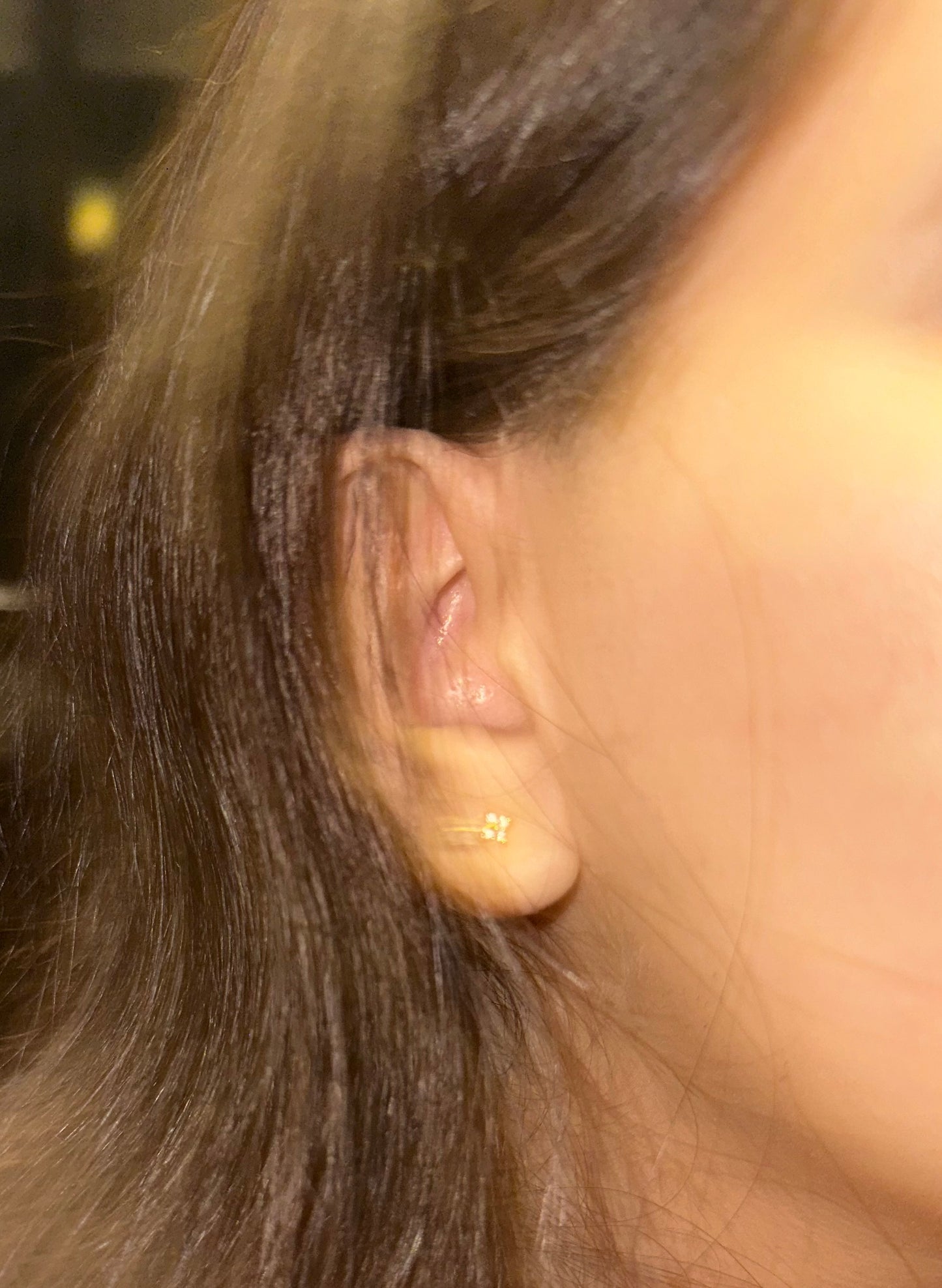 Petite Zircon Studs