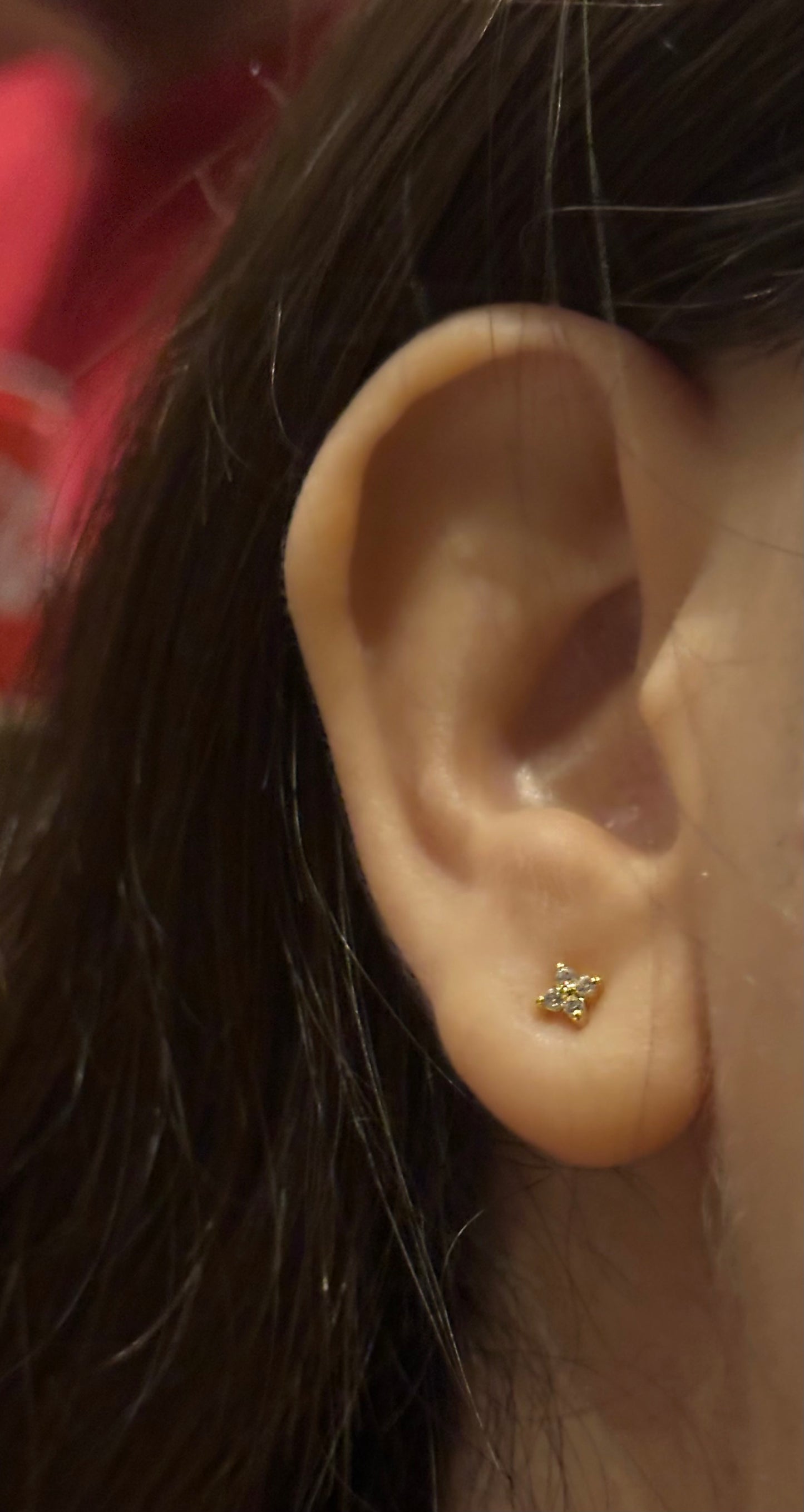 Petite Zircon Studs