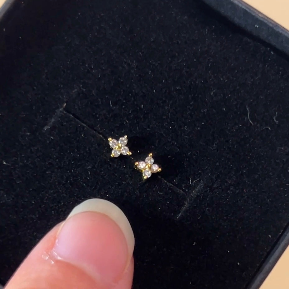 Petite Zircon Studs