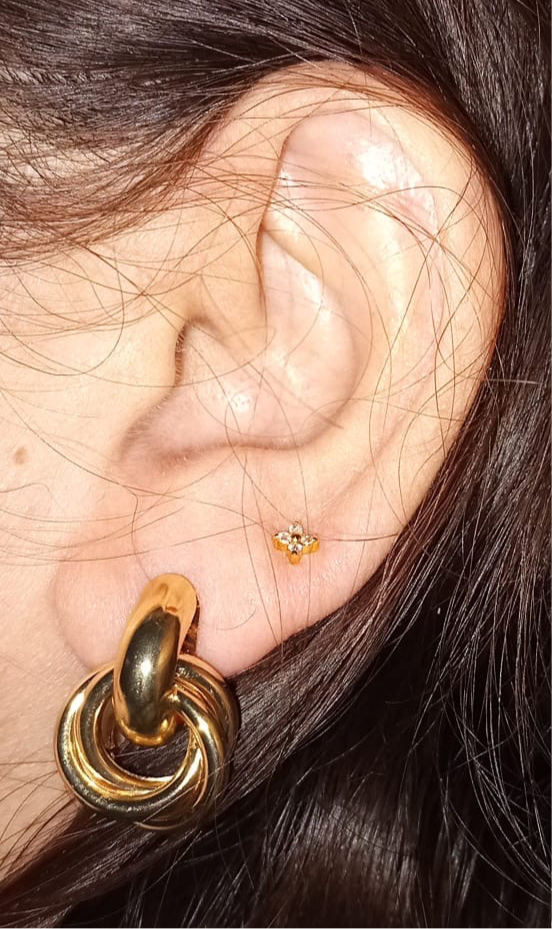 Petite Zircon Studs