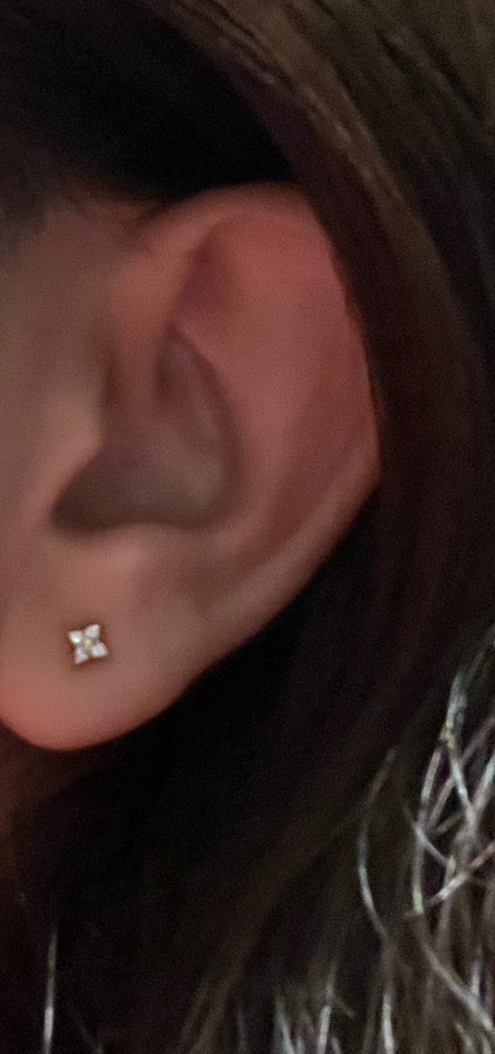 Petite Zircon Studs