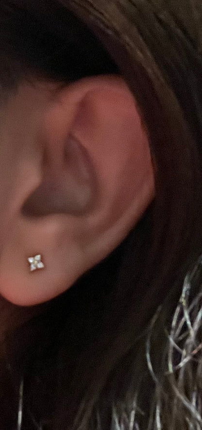 Petite Zircon Studs