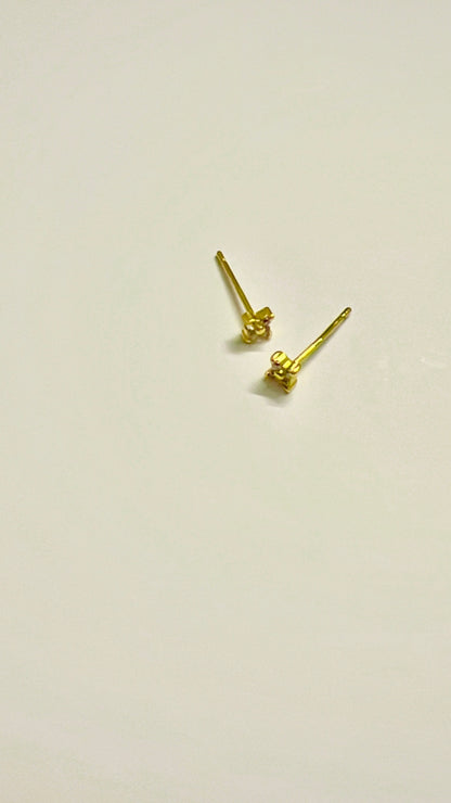 Petite Zircon Studs